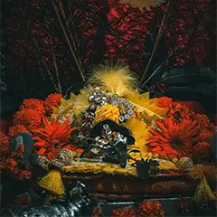 Janmashtami celebration